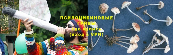 гидропоника Зерноград