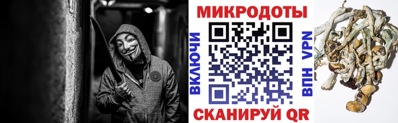 Галлюциногенные грибы мухоморы  купить закладку  Хадыженск 